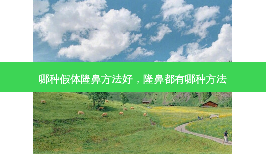 哪种假体隆鼻 *** 好，隆鼻都有哪种 *** -第1张图片-容颜讯