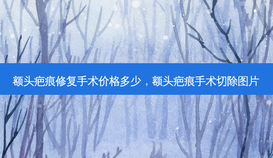 额头疤痕修复手术价格多少,额头疤痕手术切除图片-第1张图片-容颜讯 额头疤痕修复手术价格多少,额头疤痕手术切除图片-第1张图片-容颜讯