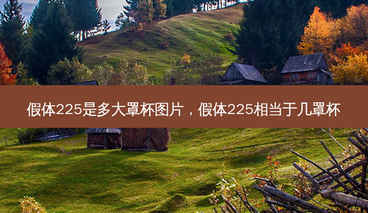 假体225是多大罩杯图片,假体225相当于几罩杯-第1张图片-容颜讯 假体225是多大罩杯图片,假体225相当于几罩杯-第1张图片-容颜讯