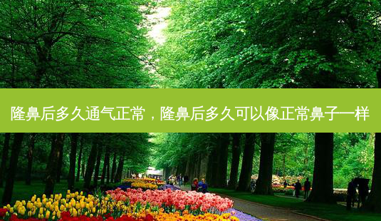 隆鼻后多久通气正常,隆鼻后多久可以像正常鼻子一样-第1张图片-容颜讯 隆鼻后多久通气正常,隆鼻后多久可以像正常鼻子一样-第1张图片-容颜讯