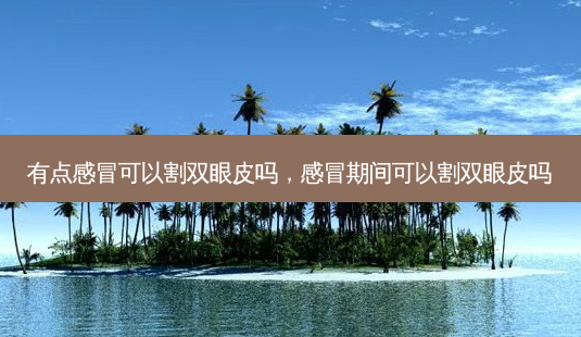 有点感冒可以割双眼皮吗,感冒期间可以割双眼皮吗-第1张图片-容颜讯 有点感冒可以割双眼皮吗,感冒期间可以割双眼皮吗-第1张图片-容颜讯