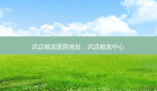 武汉植发医院地址,武汉植发中心-第1张图片-容颜讯 武汉植发医院地址,武汉植发中心-第1张图片-容颜讯