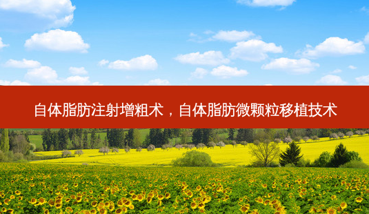 自体脂肪注射增粗术,自体脂肪微颗粒移植技术-第1张图片-容颜讯 自体脂肪注射增粗术,自体脂肪微颗粒移植技术-第1张图片-容颜讯