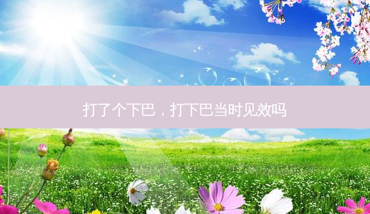 打了个下巴，打下巴当时见效吗-第1张图片-容颜讯