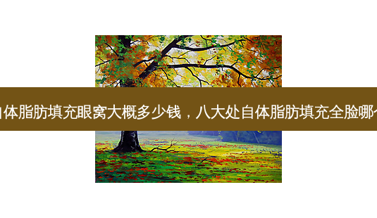 八大处自体脂肪填充眼窝大概多少钱，八大处自体脂肪填充全脸哪个医生好-第1张图片-容颜讯