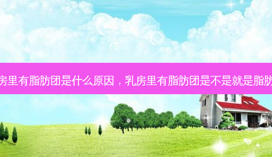  *** 里有脂肪团是什么原因， *** 里有脂肪团是不是就是脂肪瘤-第1张图片-容颜讯