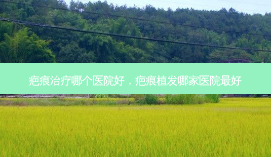 疤痕治疗哪个医院好,疤痕植发哪家医院 *** 好-第1张图片-容颜讯 疤痕治疗哪个医院好,疤痕植发哪家医院 *** 好-第1张图片-容颜讯