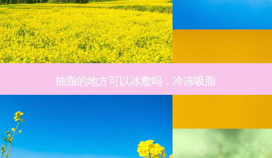 抽脂的地方可以冰敷吗，冷冻吸脂-第1张图片-容颜讯