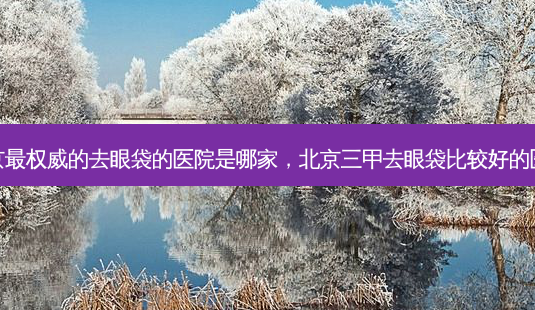 北京 ***  *** 的去眼袋的医院是哪家，北京三甲去眼袋比较好的医院-第1张图片-容颜讯