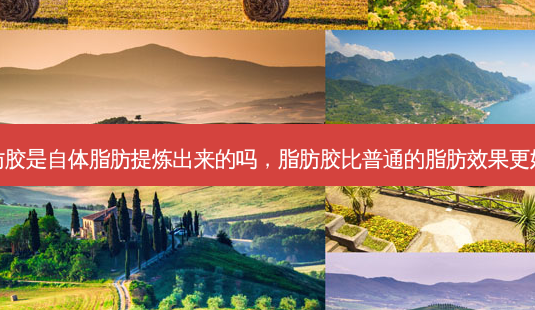 脂肪胶是自体脂肪提炼出来的吗，脂肪胶比普通的脂肪效果更好吗-第1张图片-容颜讯