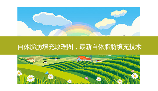 自体脂肪填充原理图, *** 新自体脂肪填充技术-第1张图片-容颜讯 自体脂肪填充原理图, *** 新自体脂肪填充技术-第1张图片-容颜讯