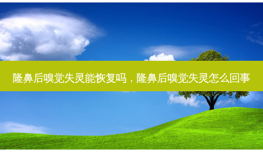 隆鼻后嗅觉失灵能恢复吗,隆鼻后嗅觉失灵怎么回事-第1张图片-容颜讯 隆鼻后嗅觉失灵能恢复吗,隆鼻后嗅觉失灵怎么回事-第1张图片-容颜讯