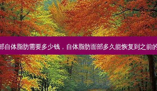 做脸部自体脂肪需要多少钱,自体脂肪面部多久能恢复到之前的样子-第1张图片-容颜讯 做脸部自体脂肪需要多少钱,自体脂肪面部多久能恢复到之前的样子-第1张图片-容颜讯