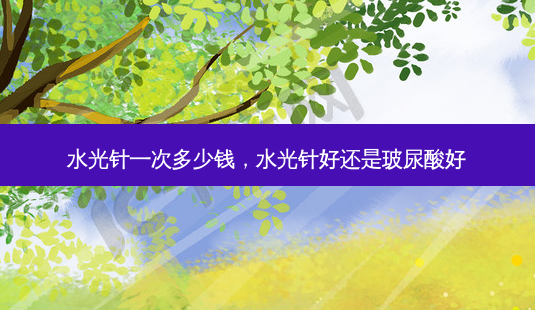水光针一次多少钱,水光针好还是玻尿酸好-第1张图片-容颜讯 水光针一次多少钱,水光针好还是玻尿酸好-第1张图片-容颜讯