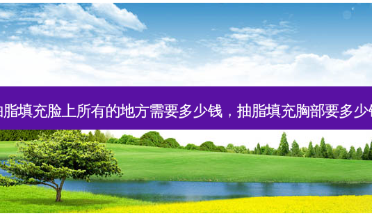 抽脂填充脸上所有的地方需要多少钱,抽脂填充胸部要多少钱-第1张图片-容颜讯 抽脂填充脸上所有的地方需要多少钱,抽脂填充胸部要多少钱-第1张图片-容颜讯