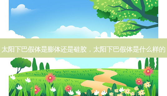 太阳下巴假体是膨体还是硅胶,太阳下巴假体是什么样的-第1张图片-容颜讯 太阳下巴假体是膨体还是硅胶,太阳下巴假体是什么样的-第1张图片-容颜讯