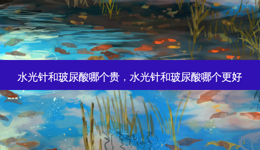 水光针和玻尿酸哪个贵,水光针和玻尿酸哪个更好-第1张图片-容颜讯 水光针和玻尿酸哪个贵,水光针和玻尿酸哪个更好-第1张图片-容颜讯