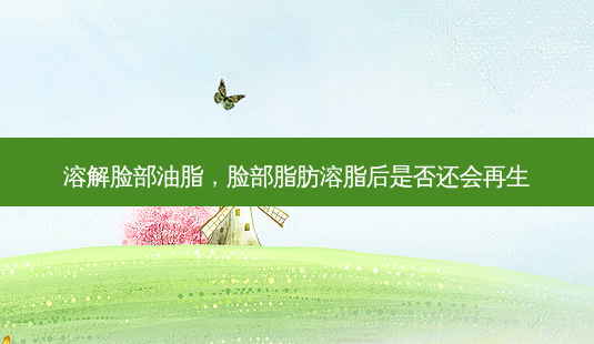 溶解脸部油脂,脸部脂肪溶脂后是否还会再生-第1张图片-容颜讯 溶解脸部油脂,脸部脂肪溶脂后是否还会再生-第1张图片-容颜讯
