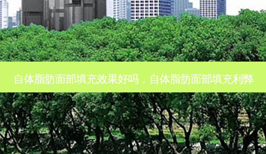 自体脂肪面部填充效果好吗，自体脂肪面部填充利弊-第1张图片-容颜讯