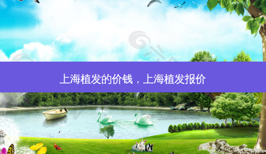 上海植发的价钱，上海植发报价-第1张图片-容颜讯