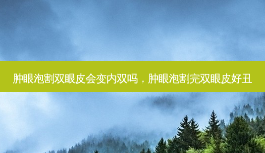 肿眼泡割双眼皮会变内双吗,肿眼泡割完双眼皮好丑-第1张图片-容颜讯 肿眼泡割双眼皮会变内双吗,肿眼泡割完双眼皮好丑-第1张图片-容颜讯