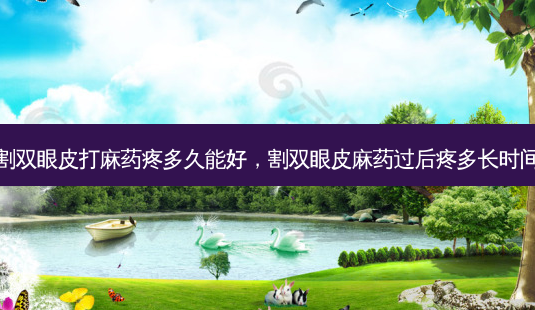 割双眼皮打麻药疼多久能好，割双眼皮麻药过后疼多长时间-第1张图片-容颜讯