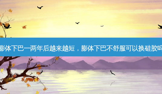 膨体下巴一两年后越来越短,膨体下巴不舒服可以换硅胶吗-第1张图片-容颜讯 膨体下巴一两年后越来越短,膨体下巴不舒服可以换硅胶吗-第1张图片-容颜讯