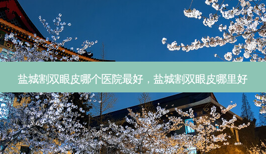 盐城割双眼皮哪个医院 *** 好,盐城割双眼皮哪里好-第1张图片-容颜讯 盐城割双眼皮哪个医院 *** 好,盐城割双眼皮哪里好-第1张图片-容颜讯