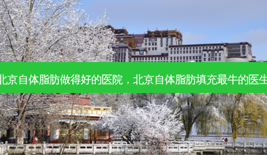 北京自体脂肪做得好的医院,北京自体脂肪填充 *** 牛的医生-第1张图片-容颜讯 北京自体脂肪做得好的医院,北京自体脂肪填充 *** 牛的医生-第1张图片-容颜讯