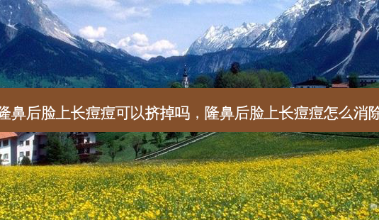 隆鼻后脸上长痘痘可以挤掉吗,隆鼻后脸上长痘痘怎么消除-第1张图片-容颜讯 隆鼻后脸上长痘痘可以挤掉吗,隆鼻后脸上长痘痘怎么消除-第1张图片-容颜讯