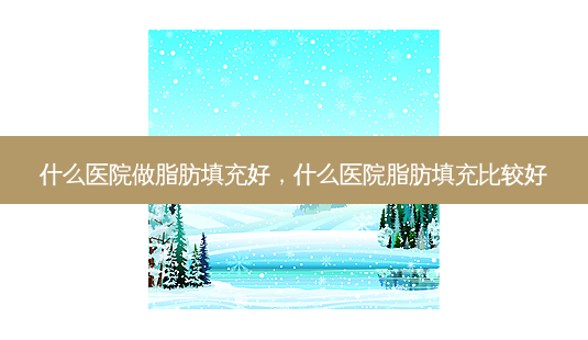 什么医院做脂肪填充好，什么医院脂肪填充比较好-第1张图片-容颜讯
