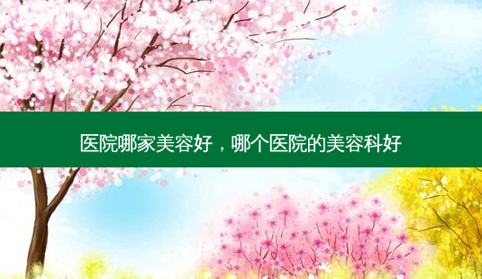 医院哪家美容好,哪个医院的美容科好-第1张图片-容颜讯 医院哪家美容好,哪个医院的美容科好-第1张图片-容颜讯
