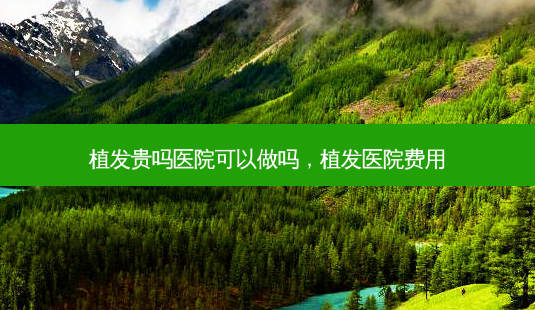 植发贵吗医院可以做吗,植发医院费用-第1张图片-容颜讯 植发贵吗医院可以做吗,植发医院费用-第1张图片-容颜讯