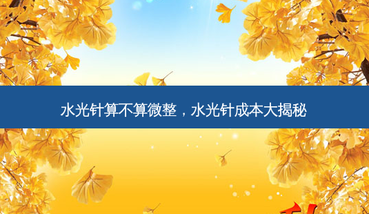 水光针算不算微整,水光针成本大揭秘-第1张图片-容颜讯 水光针算不算微整,水光针成本大揭秘-第1张图片-容颜讯