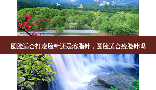 圆脸适合打瘦脸针还是溶脂针，圆脸适合瘦脸针吗-第1张图片-容颜讯