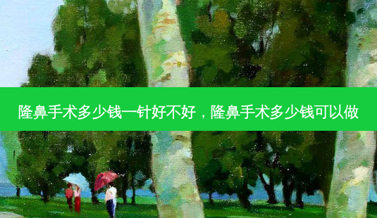 隆鼻手术多少钱一针好不好,隆鼻手术多少钱可以做-第1张图片-容颜讯 隆鼻手术多少钱一针好不好,隆鼻手术多少钱可以做-第1张图片-容颜讯