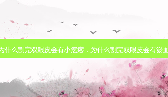 为什么割完双眼皮会有小疙瘩,为什么割完双眼皮会有淤血-第1张图片-容颜讯 为什么割完双眼皮会有小疙瘩,为什么割完双眼皮会有淤血-第1张图片-容颜讯