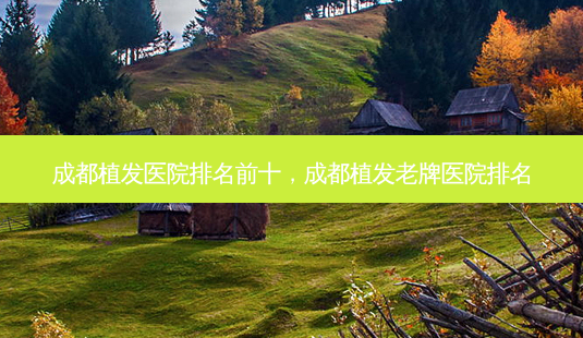 成都植发医院排名前十,成都植发老牌医院排名-第1张图片-容颜讯 成都植发医院排名前十,成都植发老牌医院排名-第1张图片-容颜讯