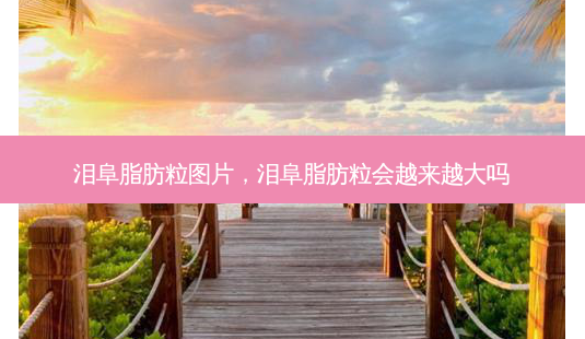 泪阜脂肪粒图片,泪阜脂肪粒会越来越大吗-第1张图片-容颜讯 泪阜脂肪粒图片,泪阜脂肪粒会越来越大吗-第1张图片-容颜讯