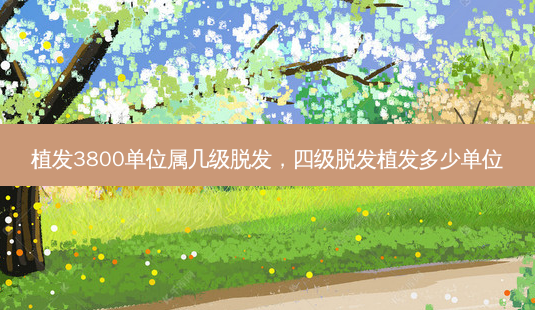 植发3800单位属几级脱发,四级脱发植发多少单位-第1张图片-容颜讯 植发3800单位属几级脱发,四级脱发植发多少单位-第1张图片-容颜讯