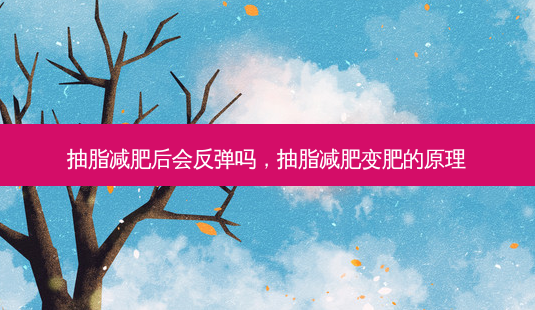 抽脂减肥后会反弹吗,抽脂减肥变肥的原理-第1张图片-容颜讯 抽脂减肥后会反弹吗,抽脂减肥变肥的原理-第1张图片-容颜讯