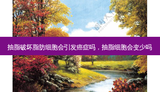 抽脂破坏脂肪细胞会引发癌症吗,抽脂细胞会变少吗-第1张图片-容颜讯 抽脂破坏脂肪细胞会引发癌症吗,抽脂细胞会变少吗-第1张图片-容颜讯