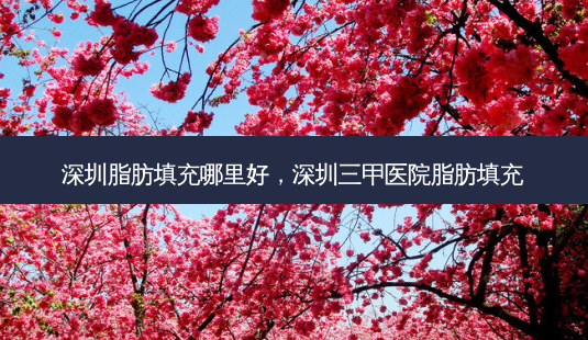 深圳脂肪填充哪里好,深圳三甲医院脂肪填充-第1张图片-容颜讯 深圳脂肪填充哪里好,深圳三甲医院脂肪填充-第1张图片-容颜讯