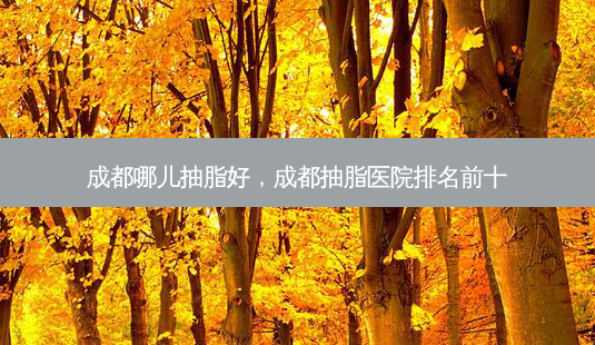 成都哪儿抽脂好,成都抽脂医院排名前十-第1张图片-容颜讯 成都哪儿抽脂好,成都抽脂医院排名前十-第1张图片-容颜讯