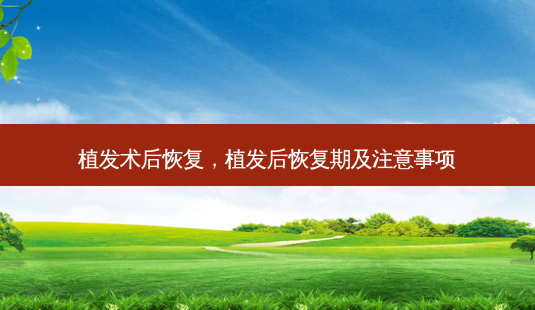 植发术后恢复,植发后恢复期及注意事项-第1张图片-容颜讯 植发术后恢复,植发后恢复期及注意事项-第1张图片-容颜讯