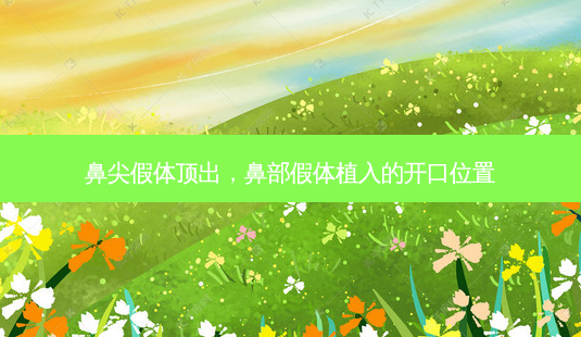鼻尖假体顶出,鼻部假体植入的开口位置-第1张图片-容颜讯 鼻尖假体顶出,鼻部假体植入的开口位置-第1张图片-容颜讯