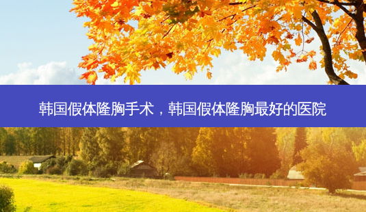 韩国假体隆胸手术,韩国假体隆胸 *** 好的医院-第1张图片-容颜讯 韩国假体隆胸手术,韩国假体隆胸 *** 好的医院-第1张图片-容颜讯