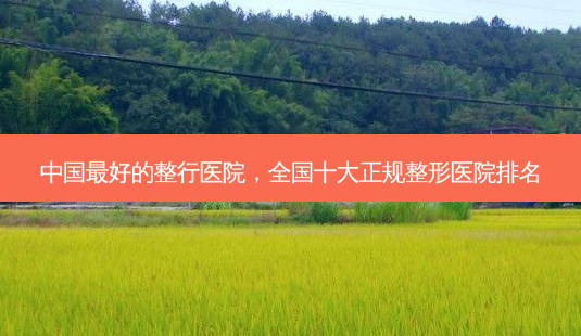 中国 *** 好的整行医院,全国十大正规整形医院排名-第1张图片-容颜讯 中国 *** 好的整行医院,全国十大正规整形医院排名-第1张图片-容颜讯