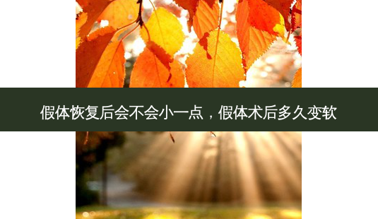 假体恢复后会不会小一点,假体术后多久变软-第1张图片-容颜讯 假体恢复后会不会小一点,假体术后多久变软-第1张图片-容颜讯
