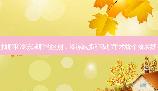 抽脂和冷冻减脂的区别,冷冻减脂和吸脂手术哪个效果好-第1张图片-容颜讯 抽脂和冷冻减脂的区别,冷冻减脂和吸脂手术哪个效果好-第1张图片-容颜讯